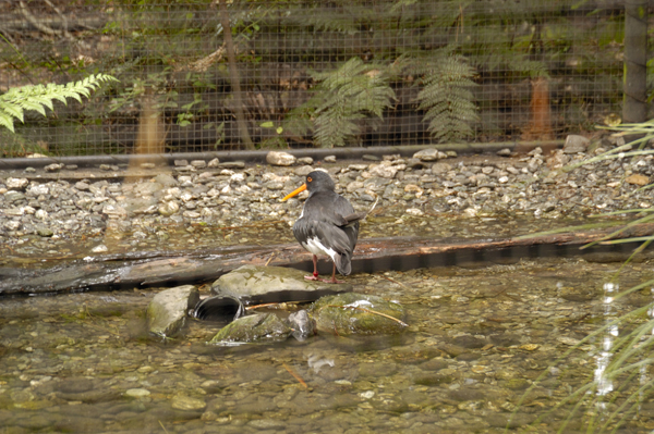 DSC_5472.jpg