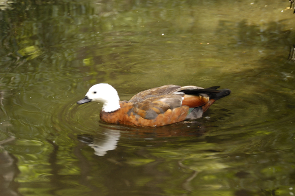 DSC_5475.jpg