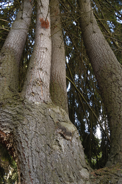 DSC_5486_v.jpg