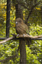 DSC_5470_v.jpg