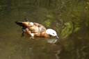 DSC_5476.jpg