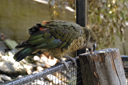 DSC_5487.jpg