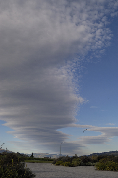 DSC_5526_v.jpg
