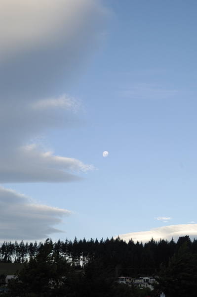 DSC_5534_v.jpg
