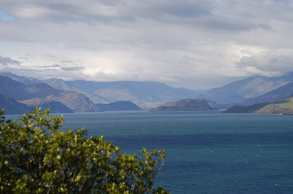 DSC_5561.jpg