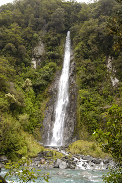 DSC_5566_v.jpg