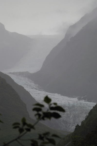 DSC_5597_v.jpg
