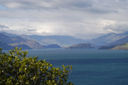 DSC_5561.jpg