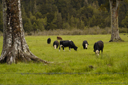 DSC_5572.jpg