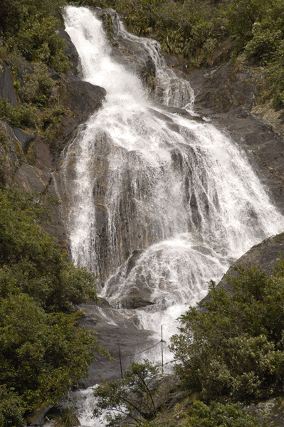 DSC_5646_v.jpg