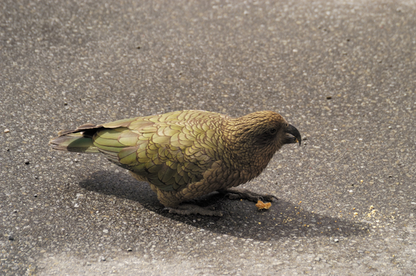 DSC_5708.jpg