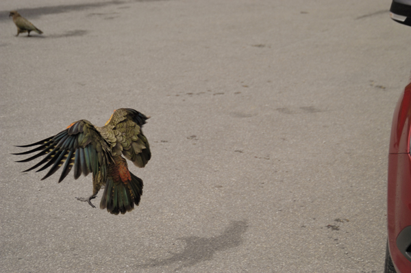 DSC_5718.jpg