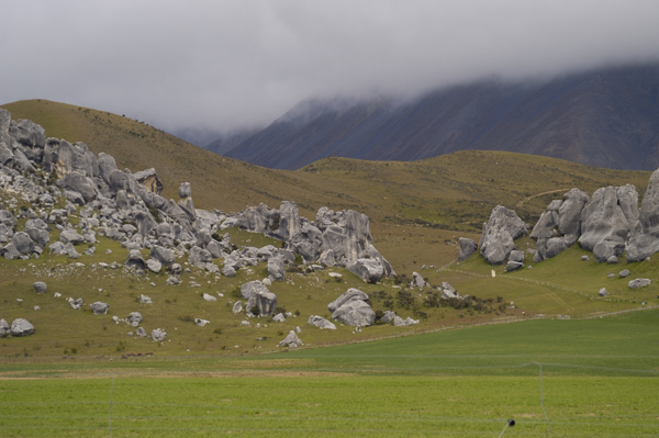 DSC_5745.jpg