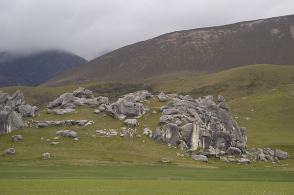 DSC_5746.jpg