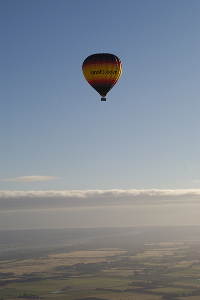 DSC_5814_v.jpg