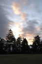 DSC_5783_v.jpg