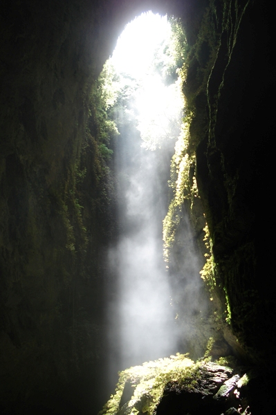 LW_014_v.jpg