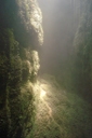 LW_009_v.jpg
