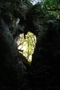 LW_011_v.jpg