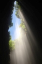 LW_013_v.jpg