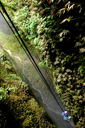 LW_017_v.jpg