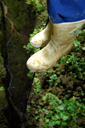 LW_021_v.jpg