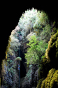 LW_024_v.jpg