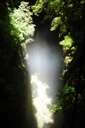 LW_031_v.jpg