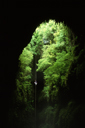 LW_033_v.jpg