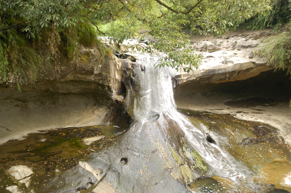 DSC_7946.jpg