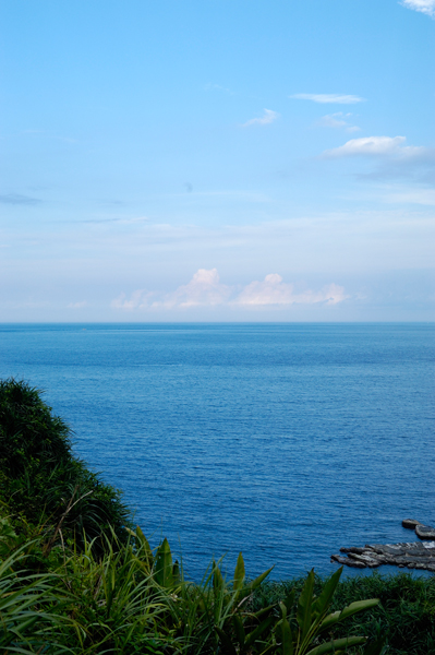 DSC_8077_v.jpg