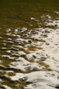 DSC_7935_v.jpg