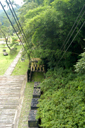 DSC_7954_v.jpg