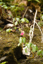 DSC_7961_v.jpg