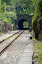 DSC_7968_v.jpg