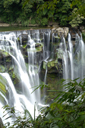DSC_7977_v.jpg
