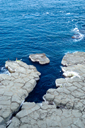 DSC_8093_v.jpg