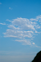 DSC_8141_v.jpg