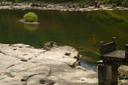 dsc_7933.jpg