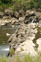 dsc_7940_v.jpg