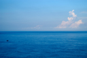 dsc_8094.jpg