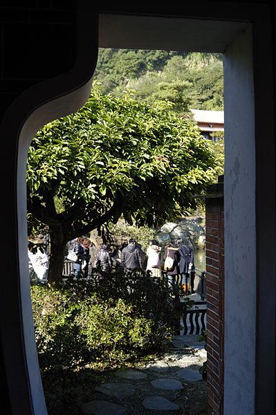DSC_0264_v.jpg