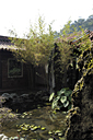 DSC_0199_v.jpg
