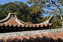 DSC_0256.jpg