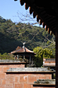 DSC_0259_v.jpg
