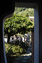 DSC_0264_v.jpg