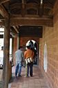 dsc_0189_v.jpg