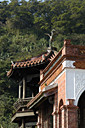 dsc_0204_v.jpg