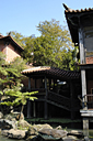 dsc_0228_v.jpg