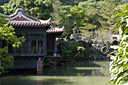 dsc_0229.jpg